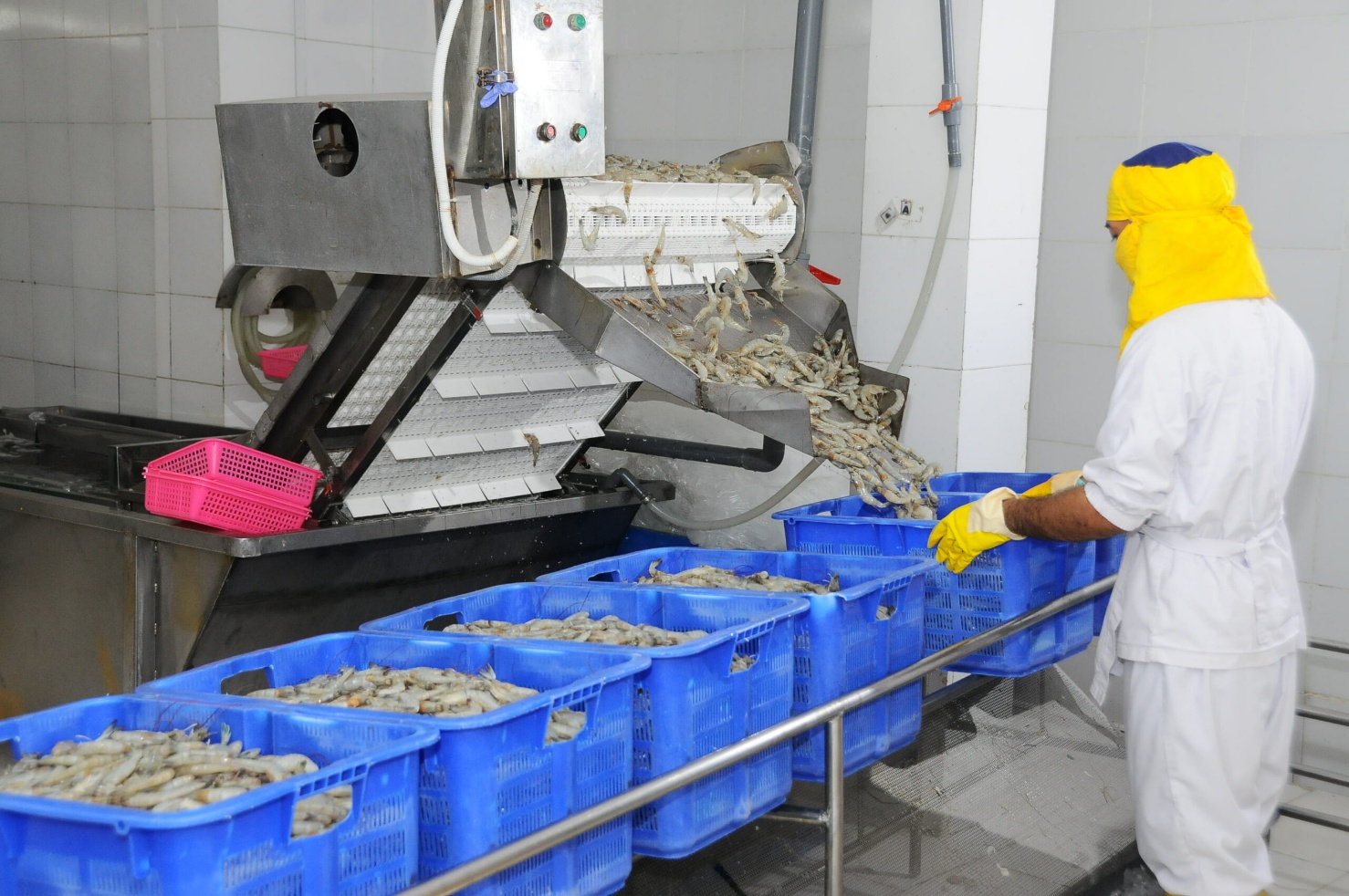 Processing Plant Support Operations